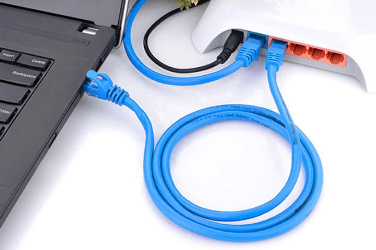 Dây Cáp Mạng Ugreen CAT6 11208 (25m) 1