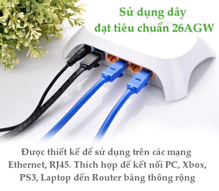 Dây Mạng Bấm Sẵn 2 Đầu Cat6 UTP Patch Cords Dài 30M UGREEN NW102 11209 2