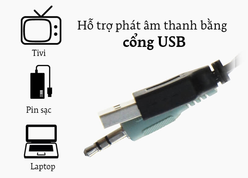 Loa Vi Tính SoundMax A-130 1
