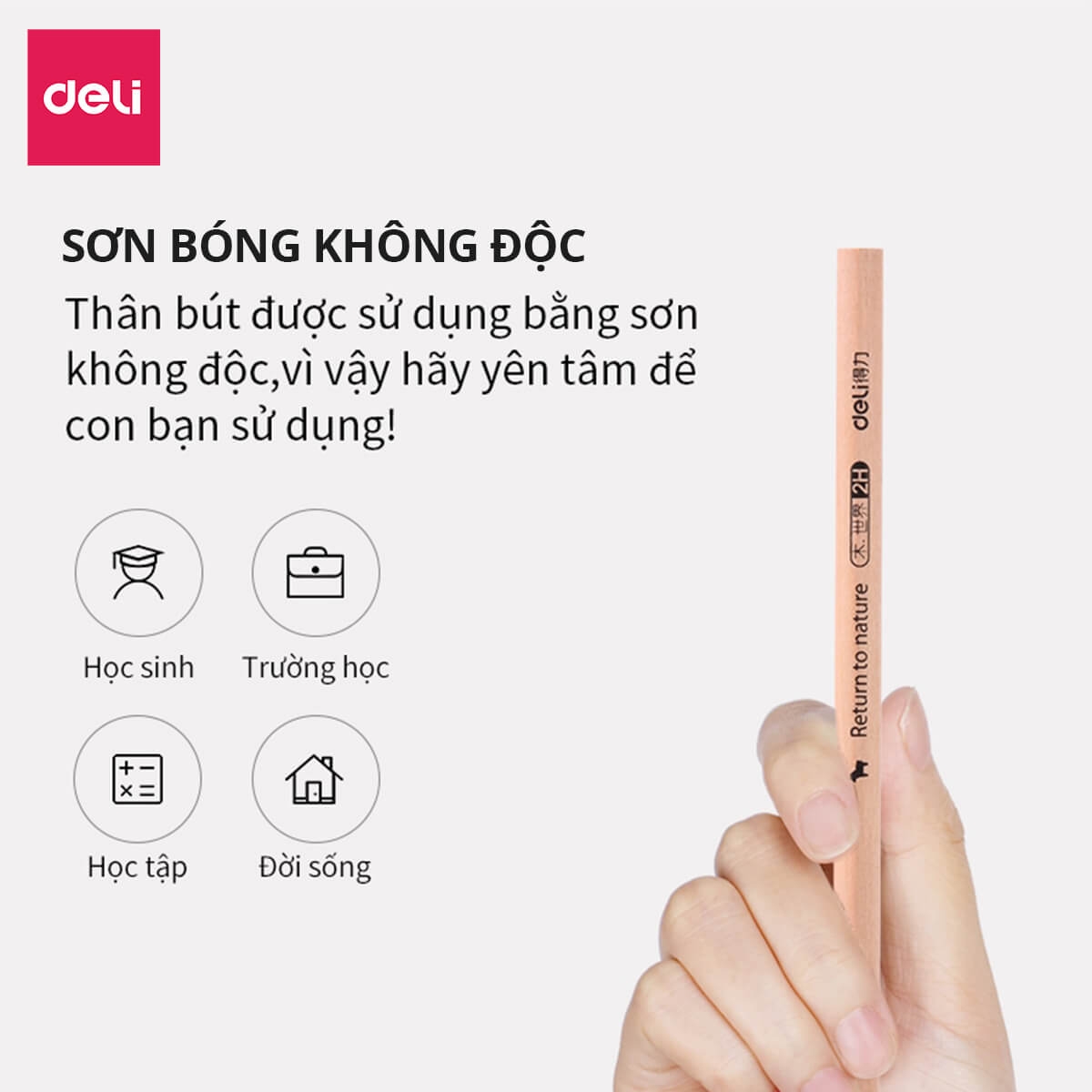 Hộp 72 Cây Bút Chì 2B Deli S941-2B 3
