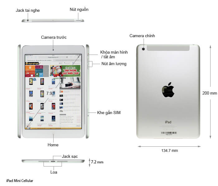 iPad Mini 16GB Wifi Cellular - Đã Qua Sử Dụng